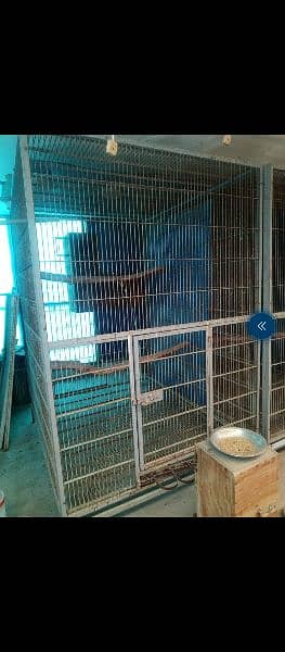 Macaw Cages | Parrot Cage | Birds Cage | Cage for sale 2