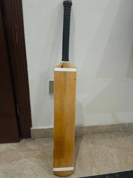 Ub sports coconut bat 5