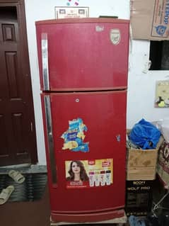 singer company medium size fridge 100 % ok