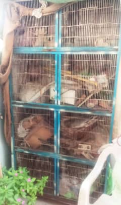 bird cage sale