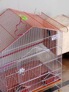 LOVE BIRD BREEDER WITH CAGE