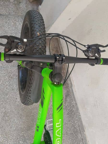 Fat Bike Sporty E Design 1