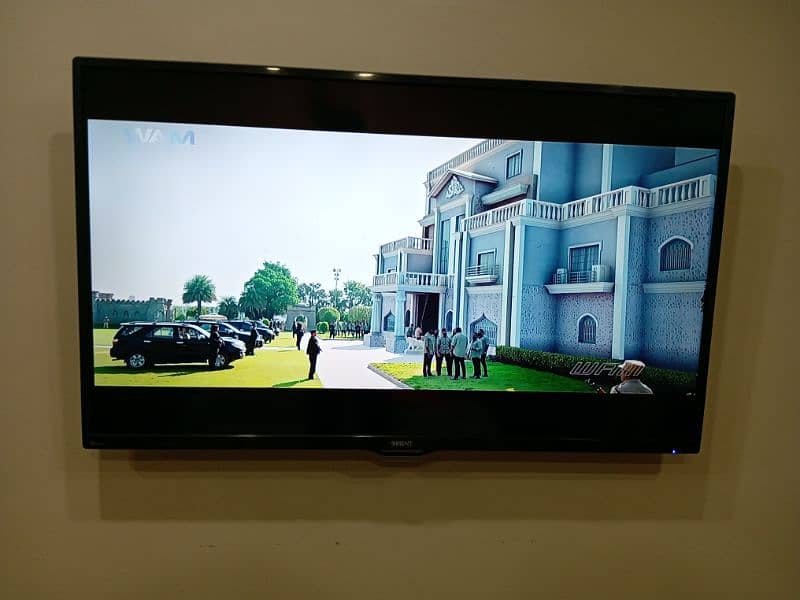 orient LED 50 inch 1