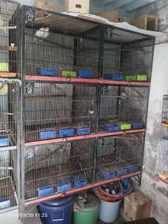 6 portions cage for sale 0