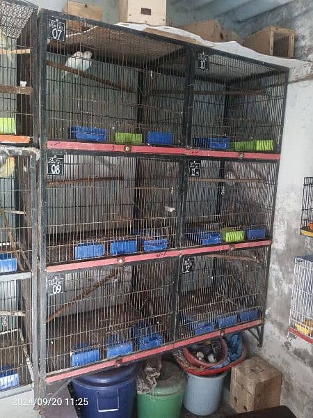 6 portions cage for sale 0