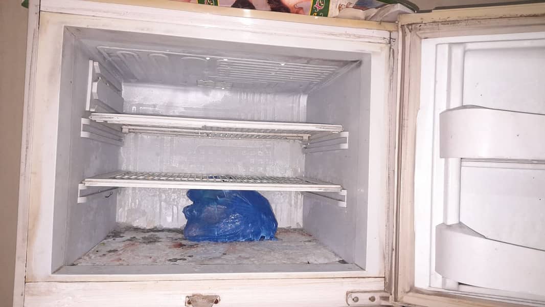 pel company freezer 5