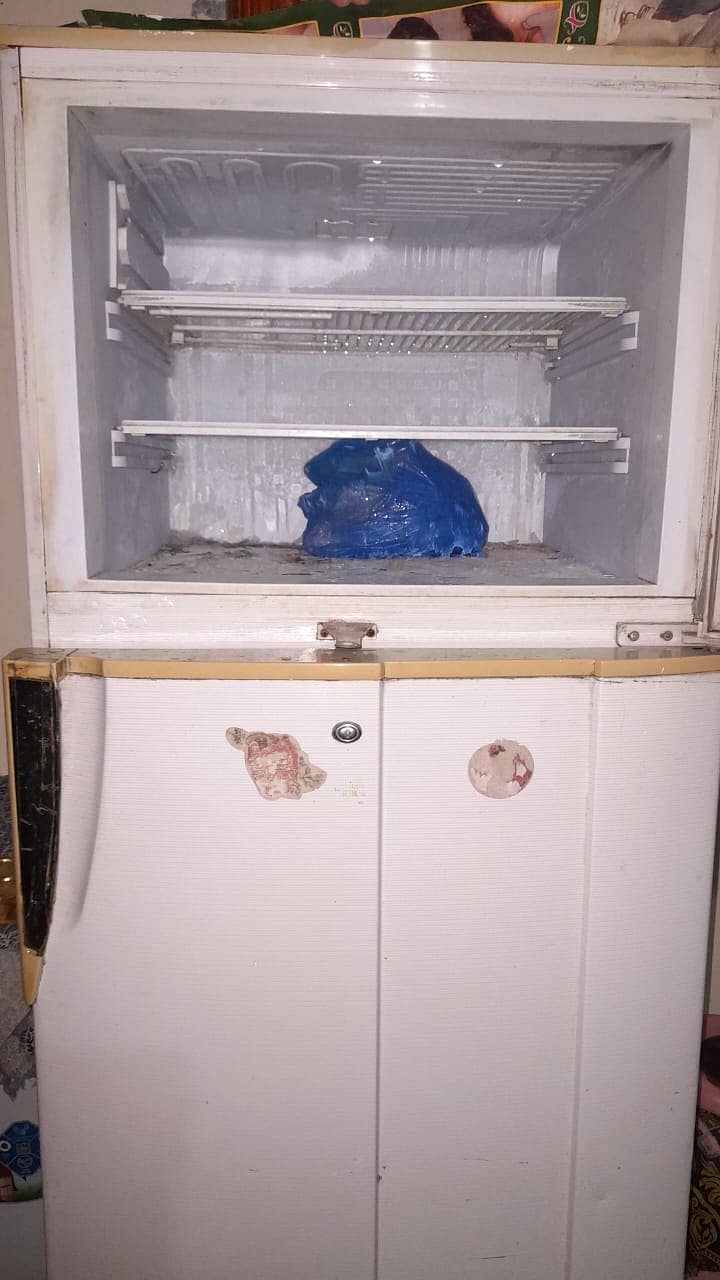 pel company freezer 6