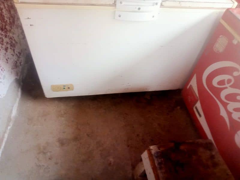 Intercool Deep Freezer Single Door 4