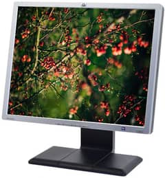 Hp 20" LCD Monitor 100% Working