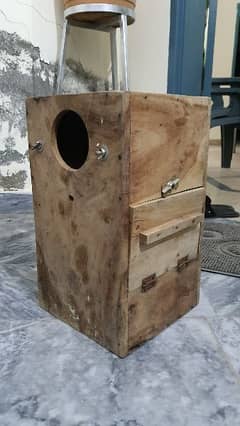 Raw & ringneck Parrot breeding box