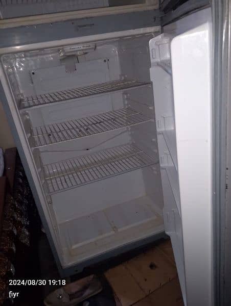 downlec fridge 5