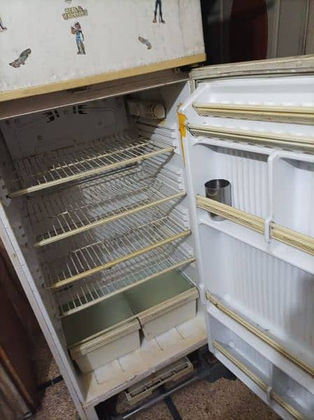 fridge for sale Pel company 1