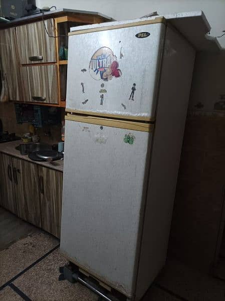 fridge for sale Pel company 3