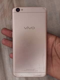 vivo