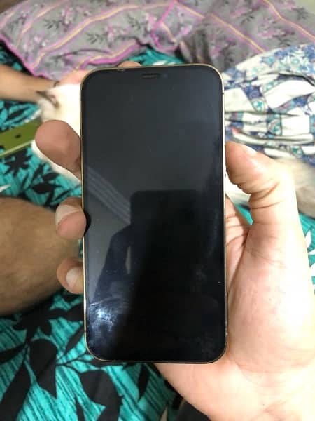 Apple iPhone 12 Pro Non PTA Factory Unlock 2