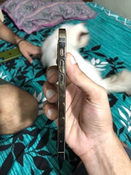 Apple iPhone 12 Pro Non PTA Factory Unlock 4