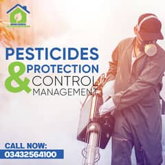 PEST CONTROL EXPERTS   |   BEST FUMIGATION SERVICES   |  CALL NOW !!!