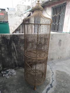 parrot house for sale