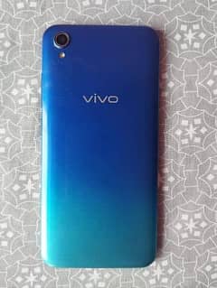 vivo