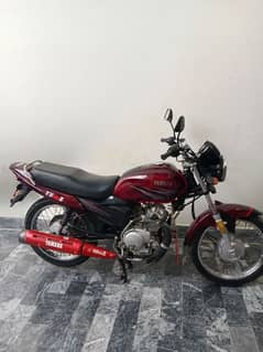 Yamaha