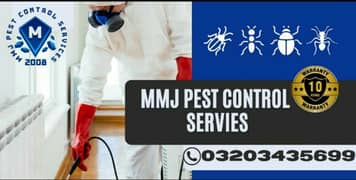 Pest Control Service In Pakistan / Fumigation services