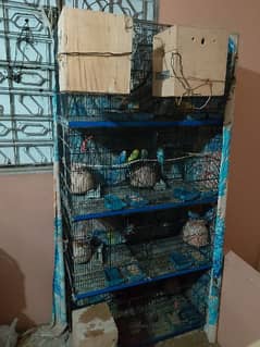 Master Cage +16 Birds For sale