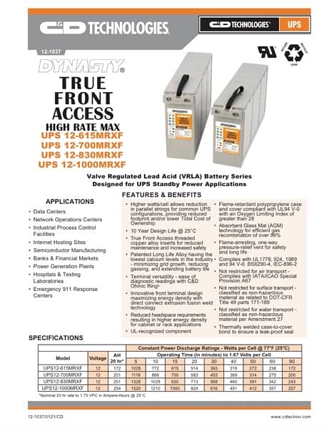 Dry Battery 254 Amps / USA  Dry Battery / C and D Dynasty Dry Battery 5