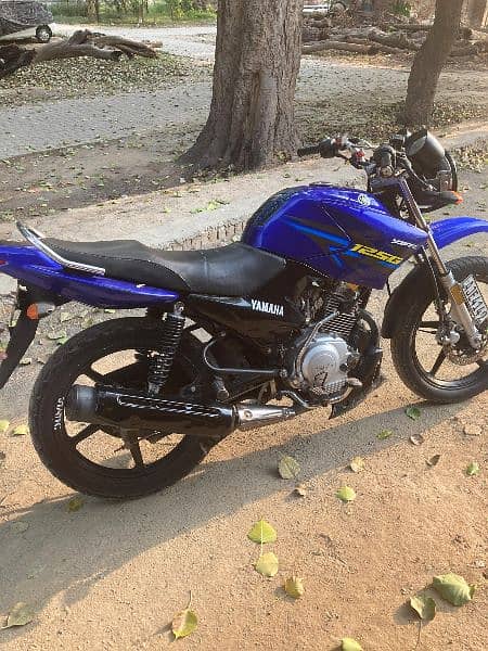 Yamaha ybr g 2019 registered 20 9