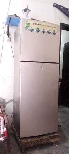 Hair Refrigerator