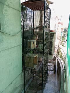 Birds cage for sale