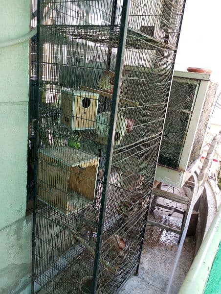 Birds cage for sale 1