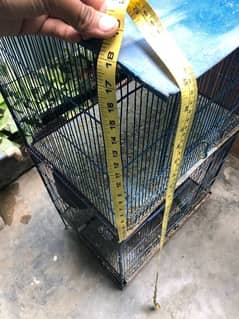 cage for sell final price 3000