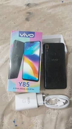 vivo