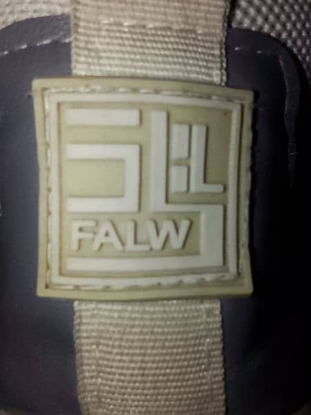 silk flwa branded shoes 0