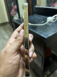 iphone 13 pro 128gb factory unlocked gold color