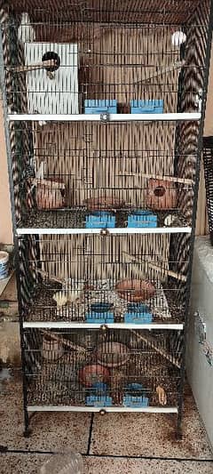 Solid Iron Birds Cage Good Condition