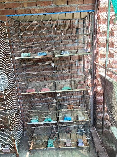 8 box cages+ with full cage accessories 2