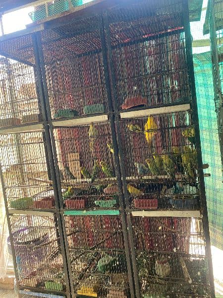 8 box cages+ with full cage accessories 4