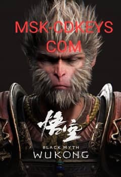 Black Myth Wukong deluxe edition offline activation