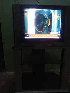 TELEVISION