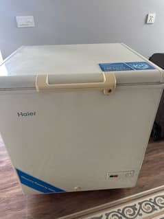 Haier single door deep freezer