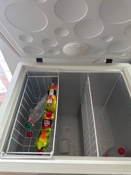 Haier single door deep freezer 1