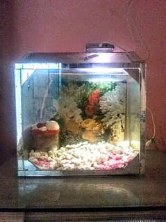 Fish Complete equariam for sale