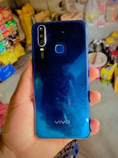 vivo