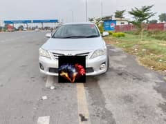 Toyota Corolla Altis 2011