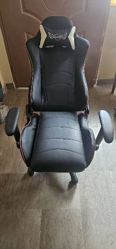 Ace Series Imported Chair