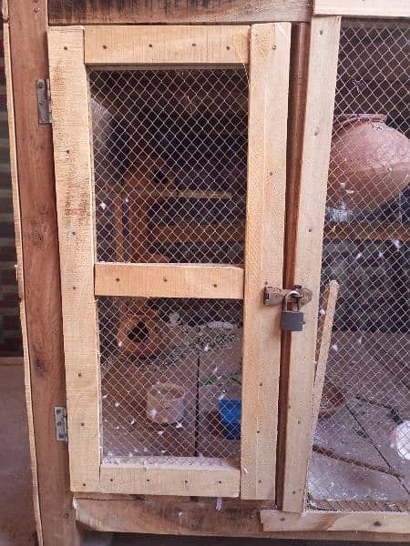 parrot or cage for sale 2