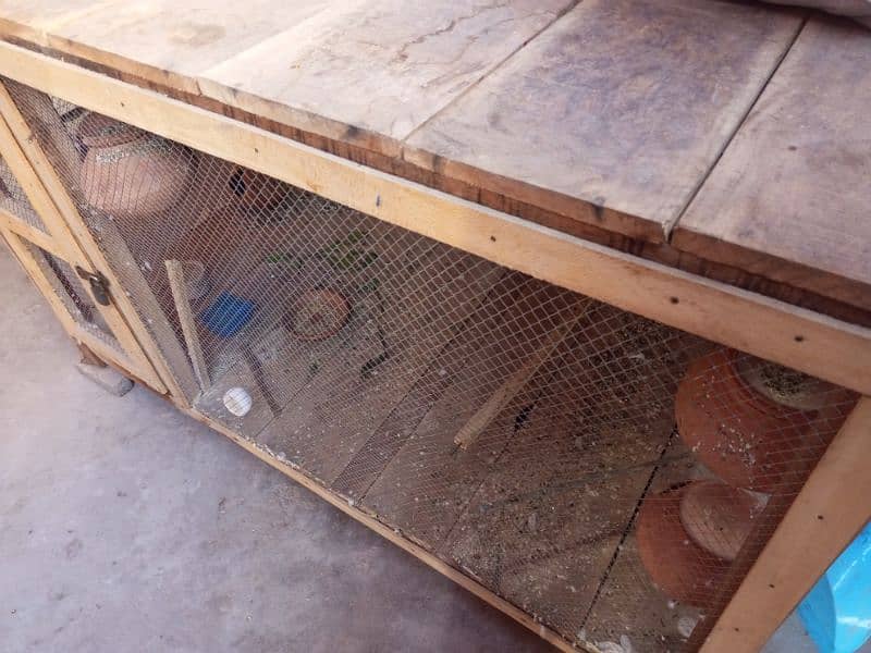 parrot or cage for sale 5