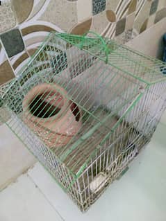 Cages with Different sizes