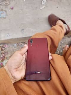 vivo